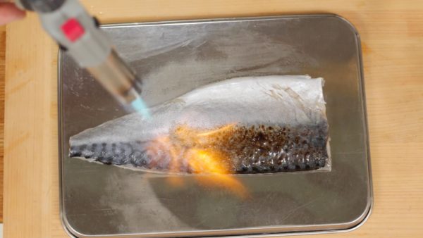 Place the shime saba, Japanese marinated mackerel on a baking sheet and sear the skin thoroughly with the kitchen torch. To make shime saba, fresh mackerel fillets are covered with salt and then, after removing the salt, the fillets are marinated in vinegar. Lightly cool the shime saba with a fan.