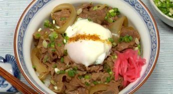 おいしい牛丼の作り方 脂を減らしたヘルシーなレシピ