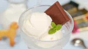 Lee más sobre el artículo Receta de helado de leche (helado italiano casero con mucha leche fresca)