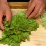 Trim the stem end of shiso leaves. Tear the looseleaf lettuce leaves into palm-size pieces.