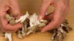 用手把真姬菇和舞茸撕成容易入口的大小。