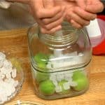 Wir starten mit dem Ume-Sirup: Gib die grünen Ume-Pflaumen in das sterilisierte Glas. Füge weißen Kandiszucker hinzu. 