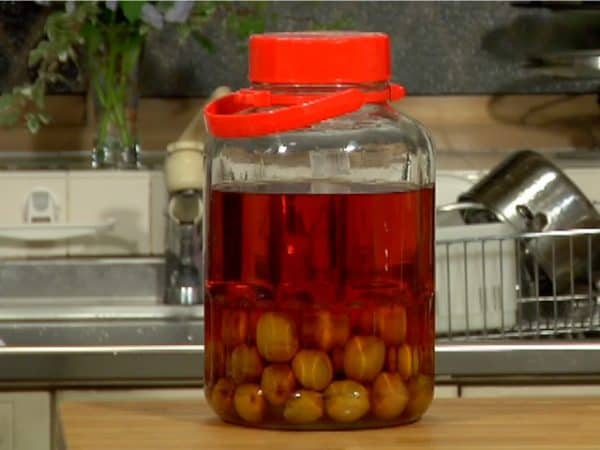 This is the umeshu after 1 year. It takes 6 months for the umeshu to be drinkable, but aging 1 to 2 years makes it full-flavored.