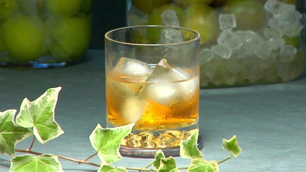 You are currently viewing Umeshu and Ume Syrup Recipe (Homemade Plum Wine and Plum Syrup)
