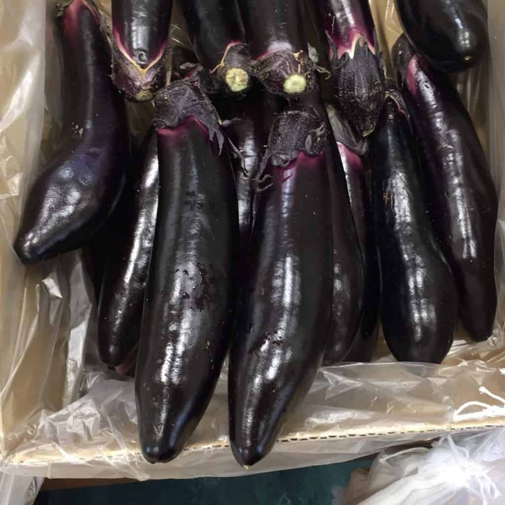 You are currently viewing Eggplant