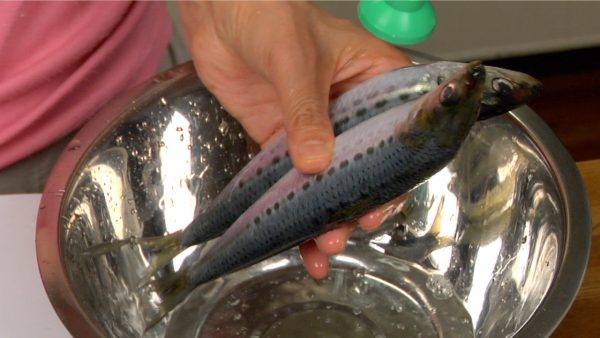Next, let’s clean the fish. Lightly rinse the sardines, removing the fish scales. Remove the excess moisture with paper towels.