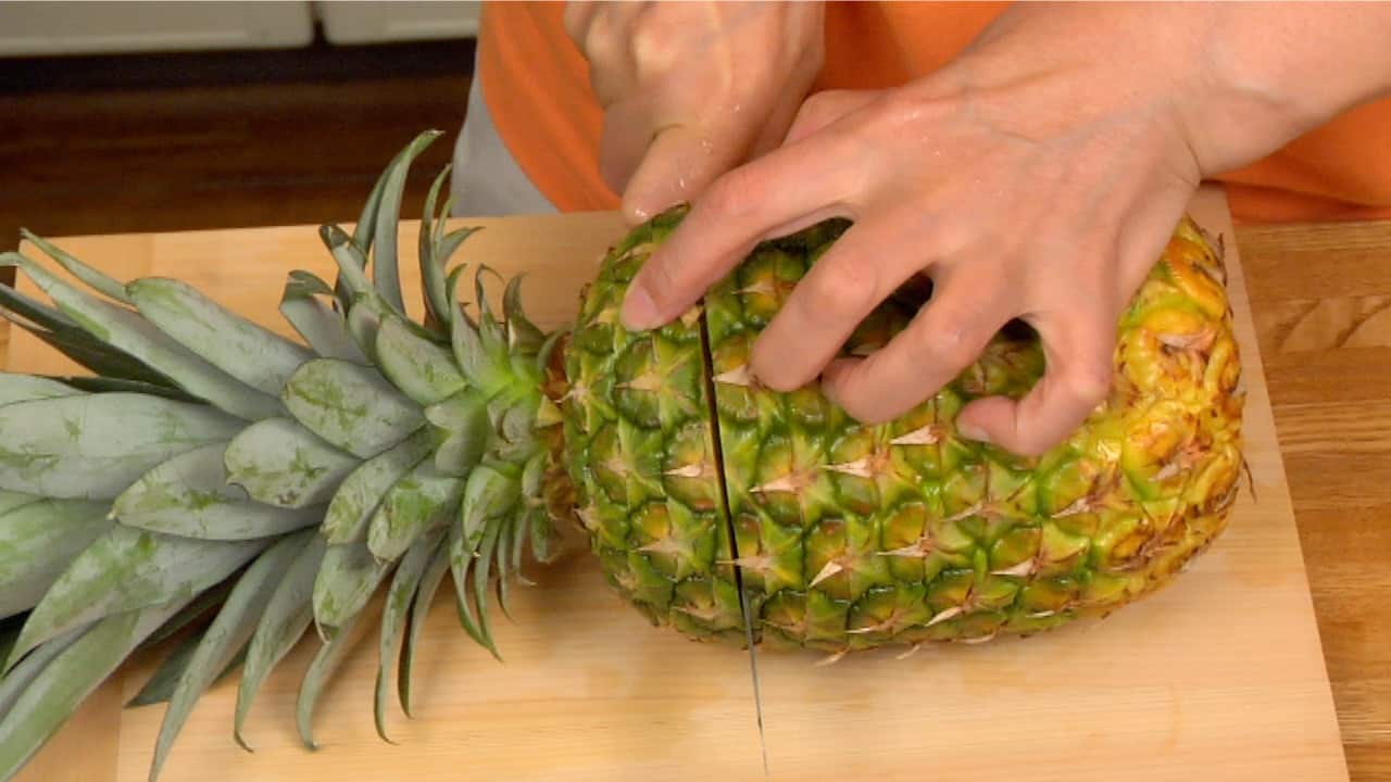 Rezept Fur Ananaseis Hausgemachtes Fruchteis Im Mixer Cooking With Dog