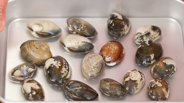 To help de-sand, allow the clams to sit in about 3 percent salt water for 2 hours.