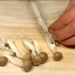 Tear the shimeji mushrooms into smaller pieces and cut enoki mushrooms.