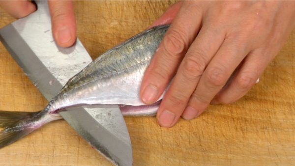 Then, detach the fillet from the tail fin.