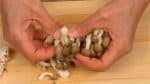 Retirez le bout des pieds des champignons shimeji. Séparez les champignons en bouchées à la main.