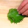 Cut off the stems of the shiso leaves.