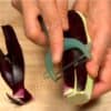 Coupez la tige de l'aubergine et retirez le chapeau. Épluchez partiellement l'aubergine pour faire des rayures. 