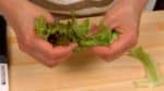 Mari sajikan sayuran di dalam mangkuk salad. Buang bagian selada merah yang keras lalu sobek daun selada menjadi ukuran yang mudah dimakan.