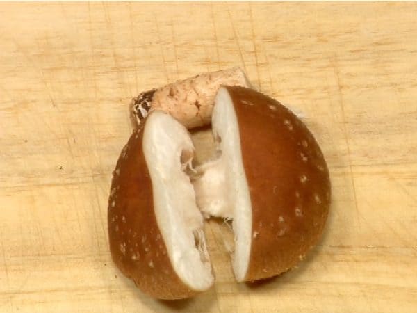 Chop off the stem of the shiitake mushroom. Make a cut on the cap and tear it in half.