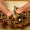 obek jamur maitake menjadi bagian-bagian kecil.