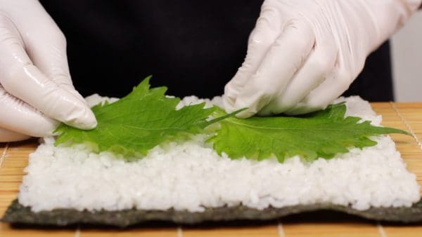 Coloca dos hojas de shiso sobre el arroz ligeramente por debajo del centro. Puedes usar más hojas de shiso, ya que ayudan a eliminar cualquier olor no deseado del sashimi.
