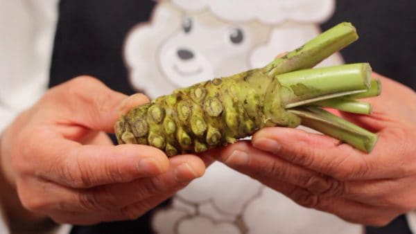 First, let's prepare the wasabi root, also known as wasabi stem.